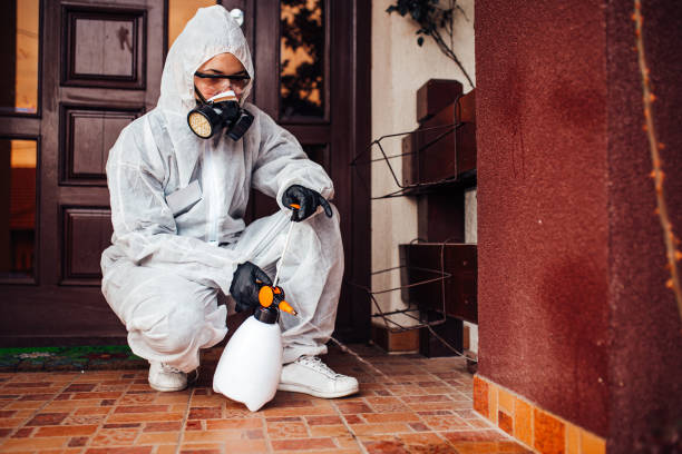 Attic and Crawl Space Rodent Treatment in Spanish Fort